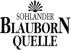 SOHLANDER BLAUBORN QUELLE