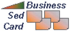 Business Sed Card