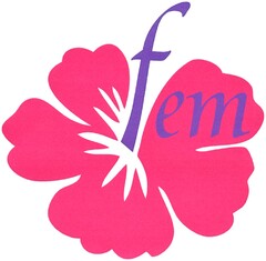 fem