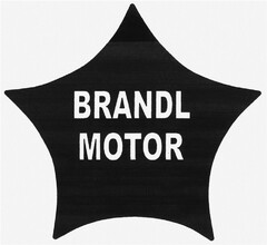 BRANDL MOTOR