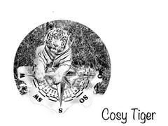 W SW S OS Cosy Tiger