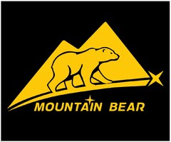 MOUNTAIN BEAR