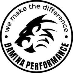 DAMINA PERFORMANCE · we make the difference ·