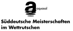 aquasol Süddeutsche Meisterschaften im Wettrutschen