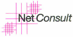 NetConsult