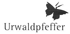 Urwaldpfeffer