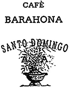 CAFÈ BARAHONA SANTO DOMINGO