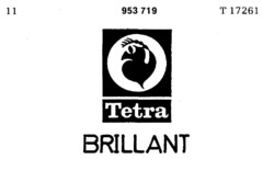 Tetra BRILLANT