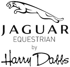 JAGUAR EQUESTRIAN by Harry Dabbs