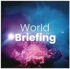 World Briefing