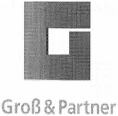 Groß & Partner