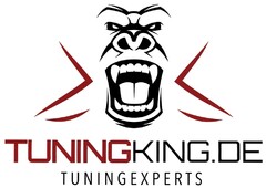 TUNINGKING.DE TUNINGEXPERTS