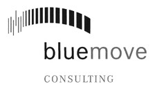 bluemove CONSULTING