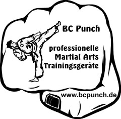 BC Punch professionelle Martial Arts Trainingsgeräte