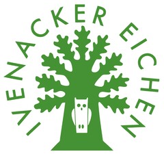 IVENACKER EICHEN