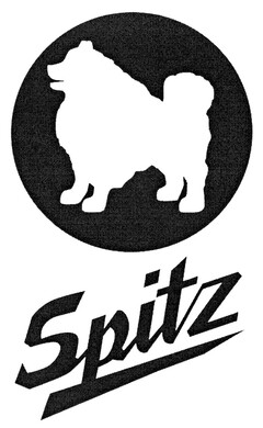 Spitz