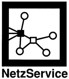 NetzService