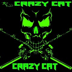 CRAZY CAT