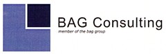 BAG Consulting member of the bag group