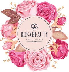 ROSABEAUTY HAIR EXTENSIONS
