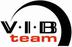 V·I·B team