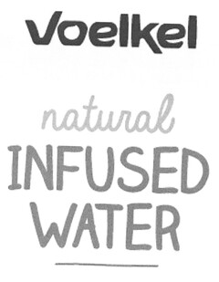 Voelkel natural INFUSED WATER