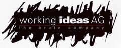 working ideas AG the brain company