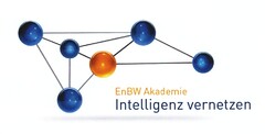 EnBW Akademie connecting intelligence