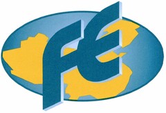 FE