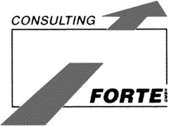 CONSULTING FORTE GMBH