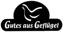 Gutes aus Geflügel