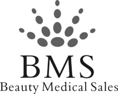 BMS Beauty Medical Sales