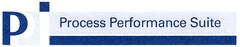 P Process Performance Suite