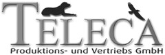 TELECA Produktions- und Vertriebs GmbH