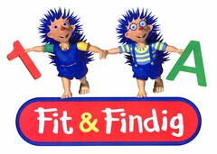 1 A Fit & Findig