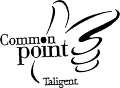 Common point Taligent