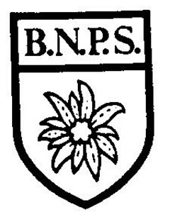 B.N.P.S.