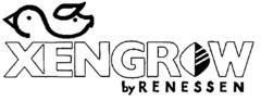 XENGROW by RENESSEN