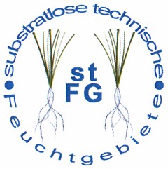 stFG substratlose technische Feuchtgebiete