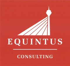 EQUINTUS CONSULTING