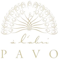 PAVO