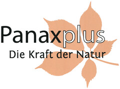 Panaxplus Die Kraft der Natur