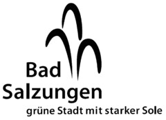 Bad Salzungen grüne Stadt mit starker Sole