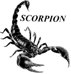 SCORPION