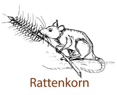 Rattenkorn