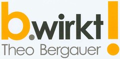 b.wirkt! Theo Bergauer