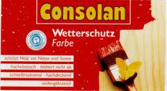 Consolan Wetterschutz Farbe