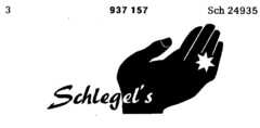 Schlegel`s