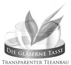 DIE GLÄSERNE TASSE TRANSPARENTER TEEANBAU