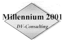 Millennium 2001 DV-Consulting